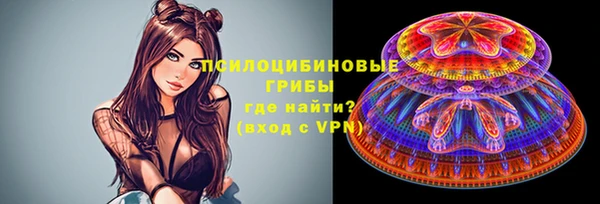 твердый Алзамай