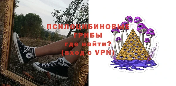 стаф Алексеевка