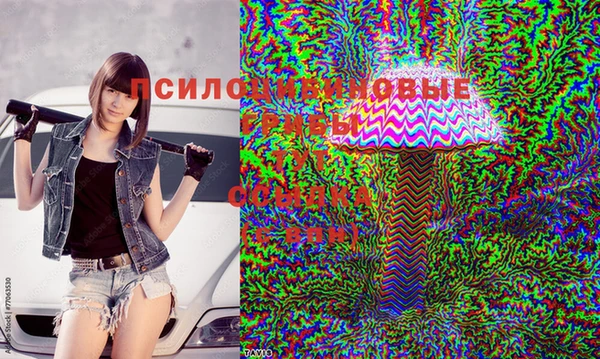 таблы Алексин