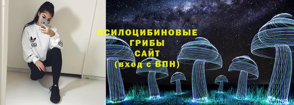 стаф Алексеевка