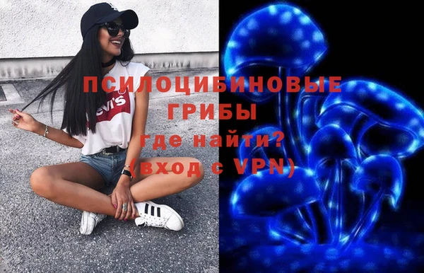 стаф Алексеевка
